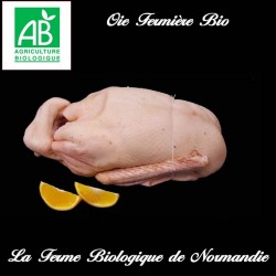 Oie fermière bio 3,9 kilos