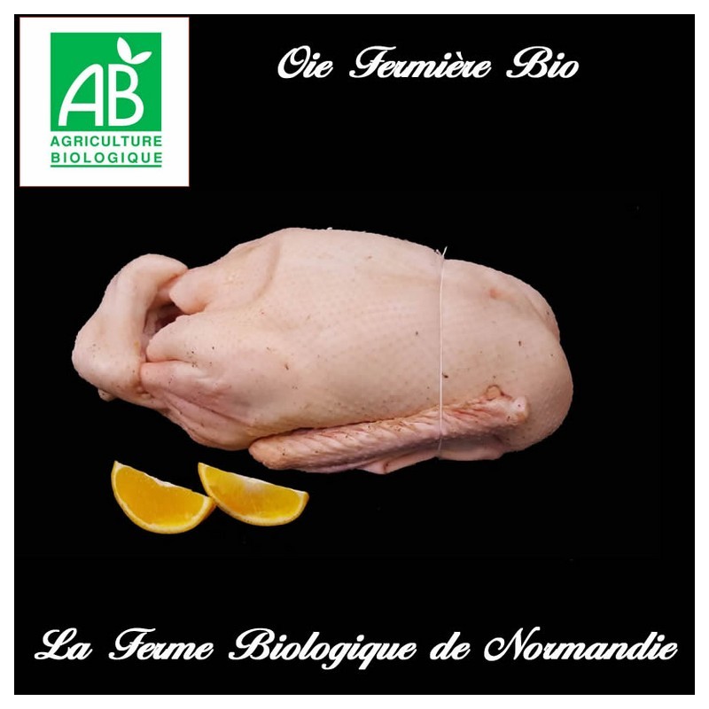 Meilleure oie bio fermière, poids 4,5 kg élevée en plein air, en liberté.