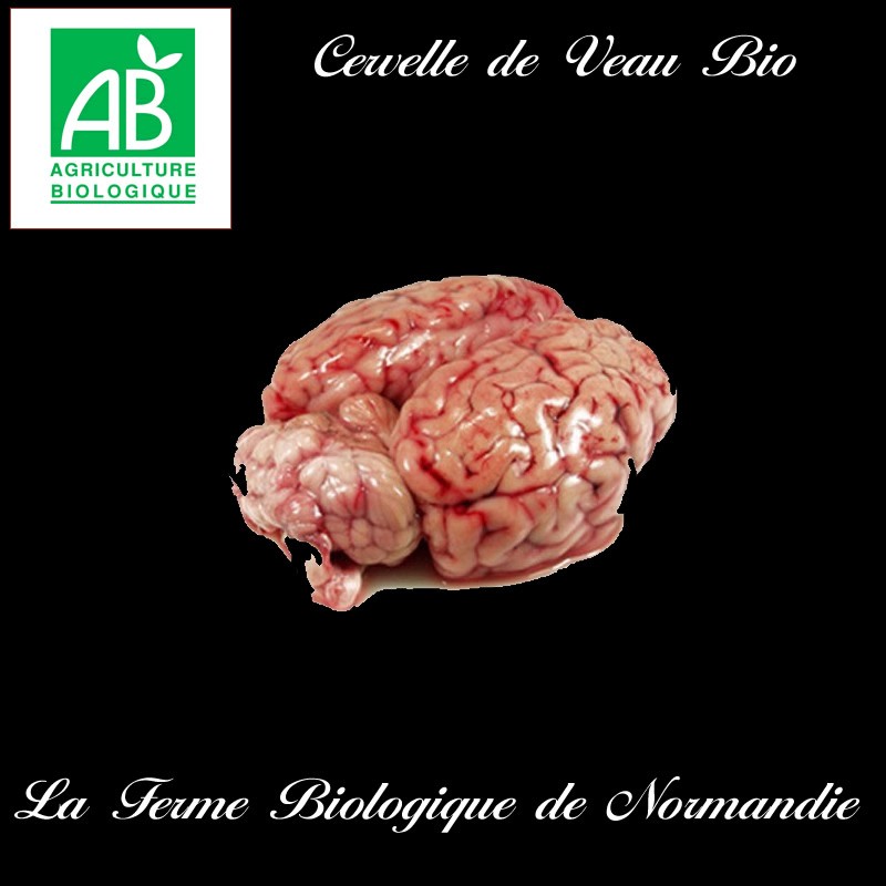 Délicieuse cervelle de veau bio poids 350g environ. Délicieuse cervelle de veau bio poids 350g environ.