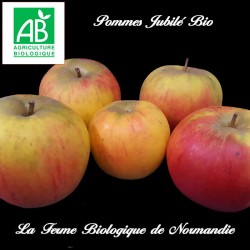 Pommes Jubilé bio 1 kilo