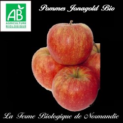 Pommes Jonagold bio
