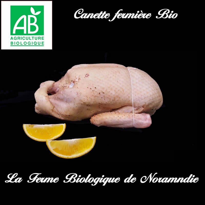 savoureuse canette fermière bio poids 2,5 kilos