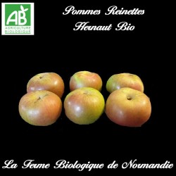 POMMES bio reinettes Hernaut bio