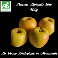 Pommes lafayette Bio poids 500g récolte 2023