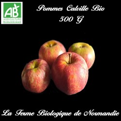 pommes Calville bio, 500g, aciduées, croquantes et juteuses, verger normand.