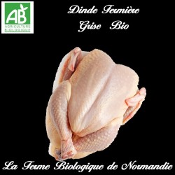 succulente dinde fermière grise bio poids  5kg Avec abats.