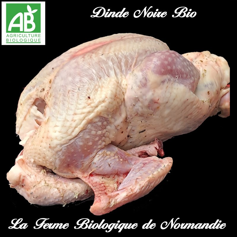 savoureuse dinde fermière noire bio 3 kilos à rotir