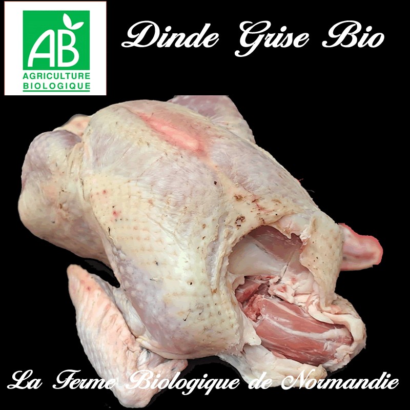 succulente dinde fermière grise bio poids  5kg Avec abats, élevée en plein air en liberté..