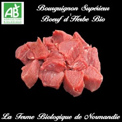 Sublime bourguignon supérieur de boeuf d'herbe bio, 600g, en direct du producteur , laferme biologique de Normandie.