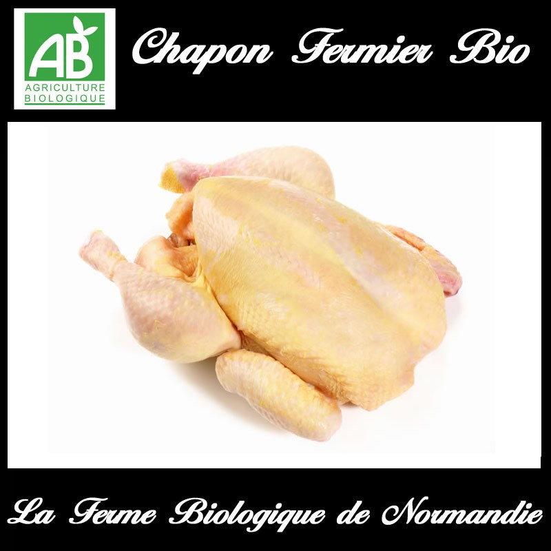 Savoureux  chapon fermier bio poid 2.8 kg en direct de la ferme
