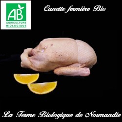 Délicieuse canette fermière bio élevée en plein air 2,1 kilos