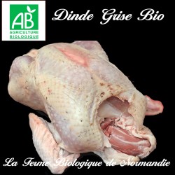 succulente dinde fermière grise bio poids  4,5 kg Avec abats.