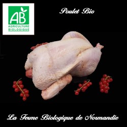Poulet bio, fermier, élevé en plein air, poids 2,6 kg ,  en direct du producteur, la ferme biologique de Normandie.