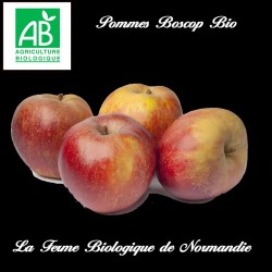 Pommes Boskoop bio 1 kilo...
