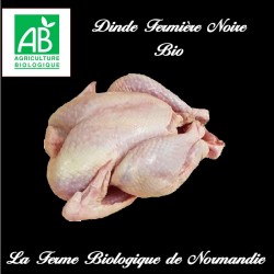 savoureuse dinde fermière noire bio 2,9 kilos à rotir.