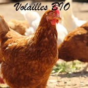 Meilleurs volailles poulets français, bio, viande de volaille blanche maigre